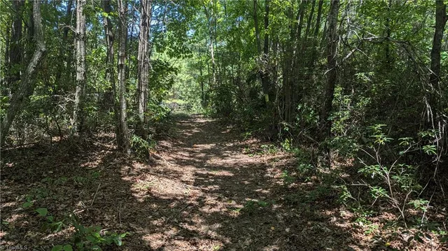 $1,327,600 | 1501 Buckwheat Road, McGrady, NC 28649