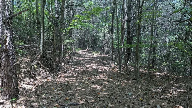 $1,327,600 | 1501 Buckwheat Road, McGrady, NC 28649