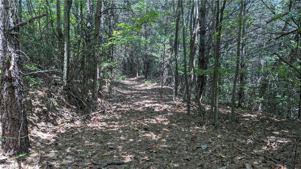 1501 Buckwheat Road McGrady, NC 28649 - Photo 36 of 50