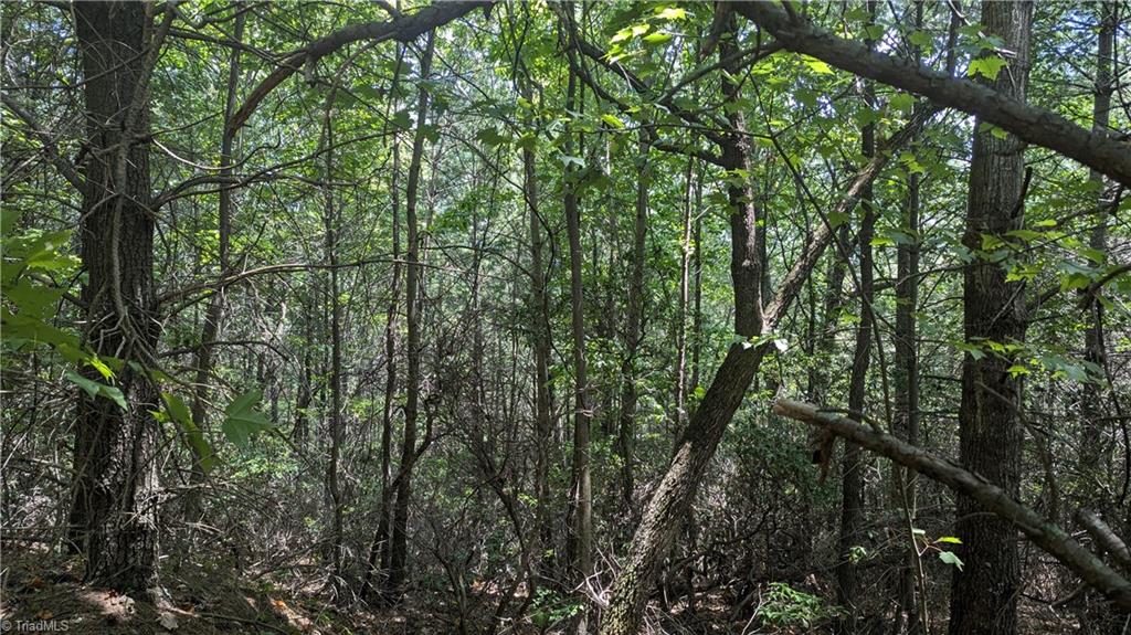 1501 Buckwheat Road McGrady, NC 28649 - Photo 37 of 50