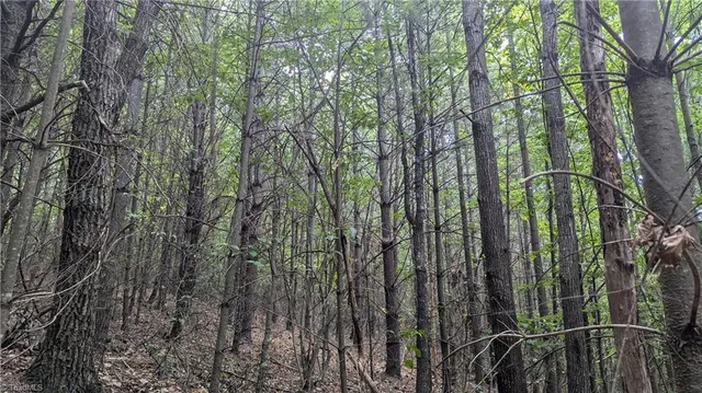 $1,327,600 | 1501 Buckwheat Road, McGrady, NC 28649