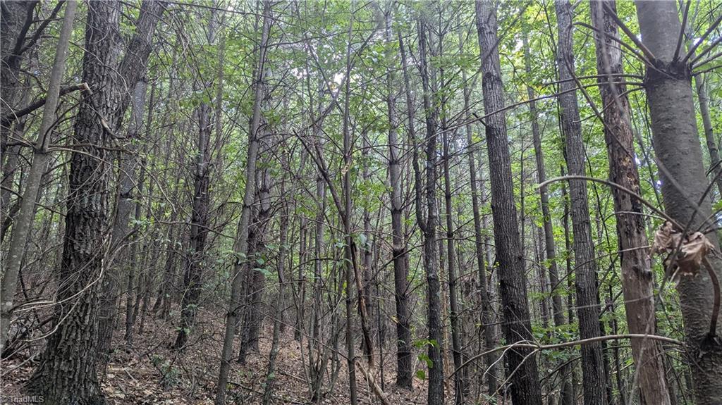 1501 Buckwheat Road McGrady, NC 28649 - Photo 39 of 50