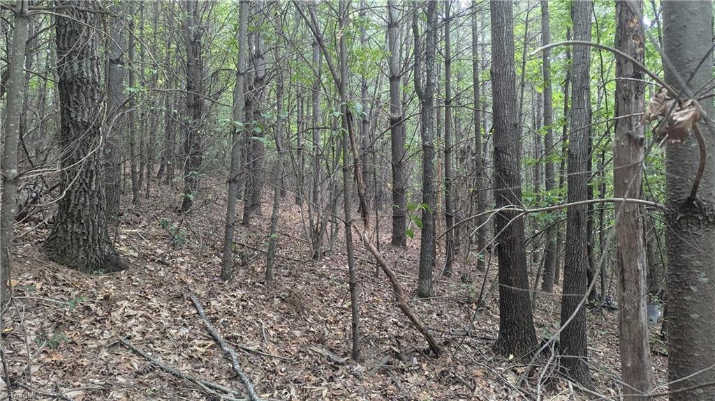 1501 Buckwheat Road McGrady, NC 28649 - Photo 40 of 50