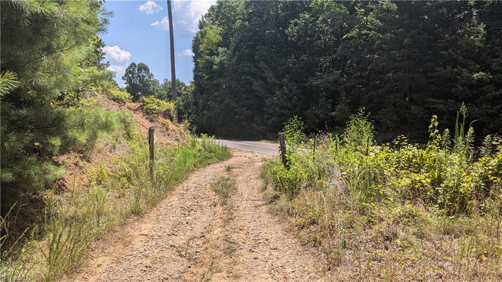 1501 Buckwheat Road McGrady, NC 28649 - Photo 4 of 50