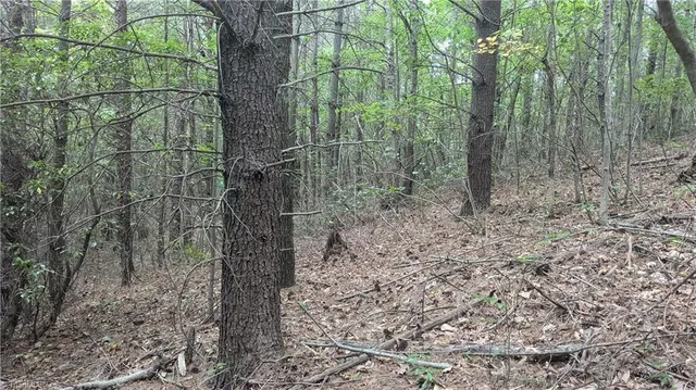 $1,327,600 | 1501 Buckwheat Road, McGrady, NC 28649