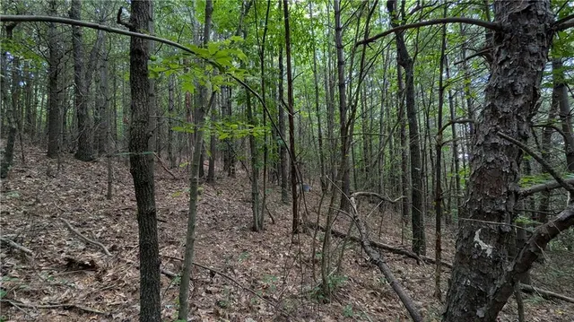 $1,327,600 | 1501 Buckwheat Road, McGrady, NC 28649