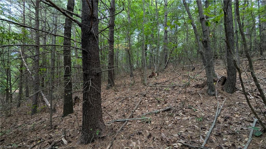 1501 Buckwheat Road McGrady, NC 28649 - Photo 43 of 50