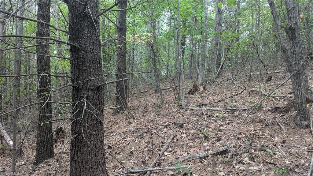 1501 Buckwheat Road McGrady, NC 28649 - Photo 44 of 50