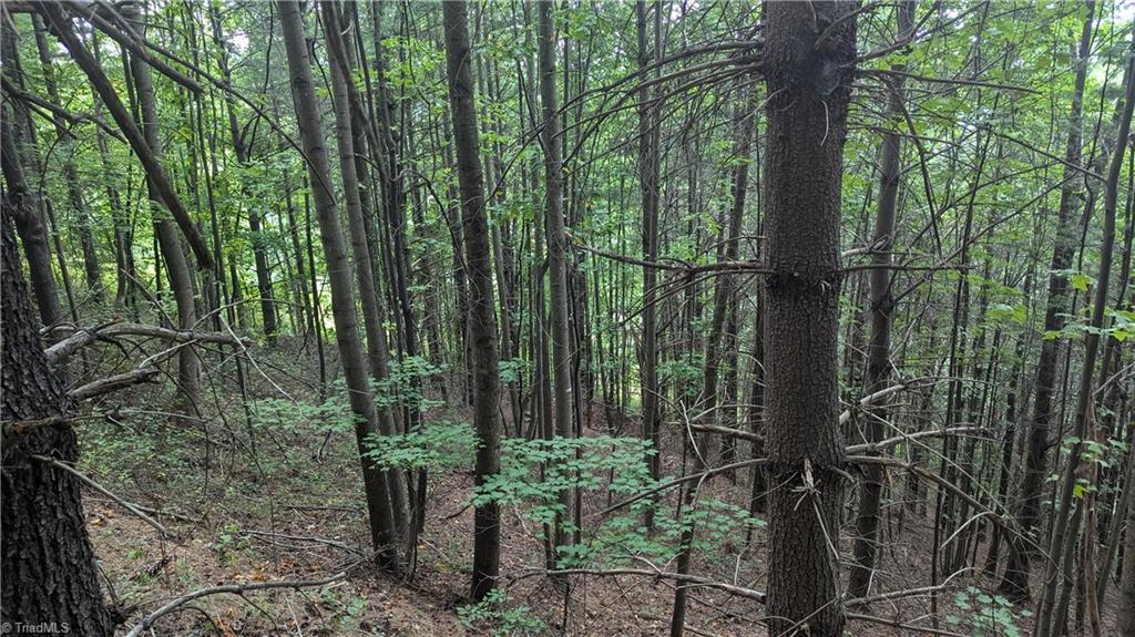 1501 Buckwheat Road McGrady, NC 28649 - Photo 45 of 50