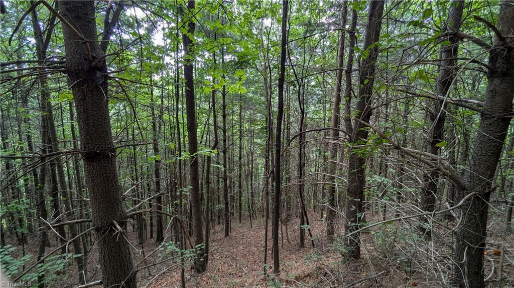 1501 Buckwheat Road McGrady, NC 28649 - Photo 47 of 50