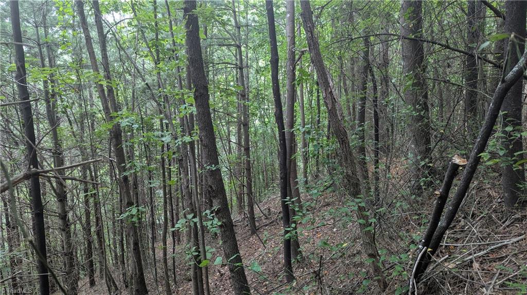 1501 Buckwheat Road McGrady, NC 28649 - Photo 48 of 50