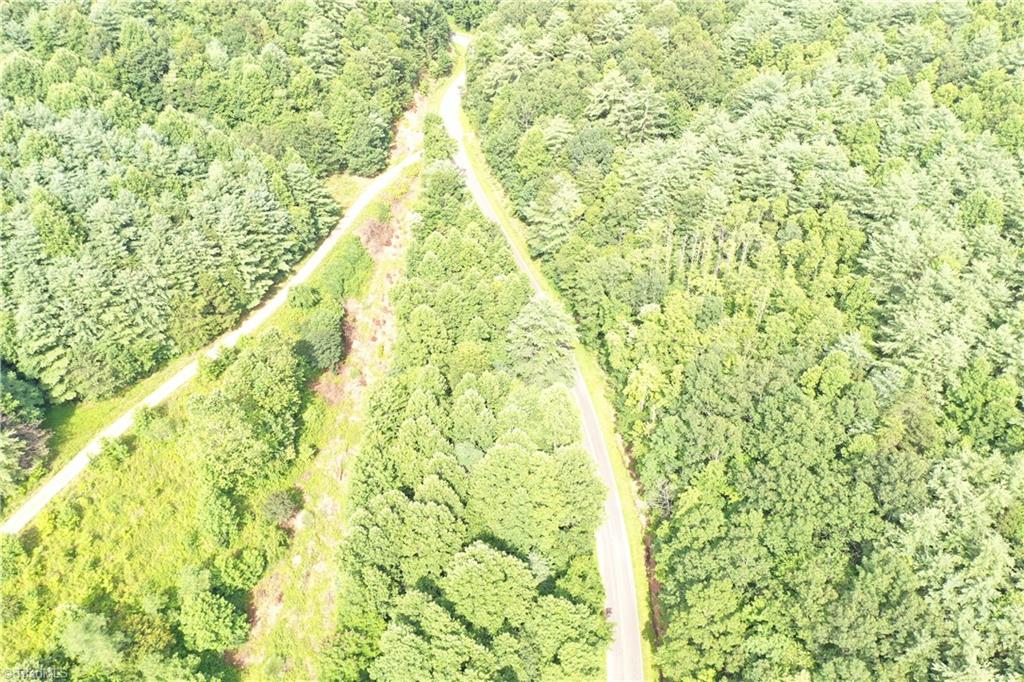 1501 Buckwheat Road McGrady, NC 28649 - Photo 49 of 50