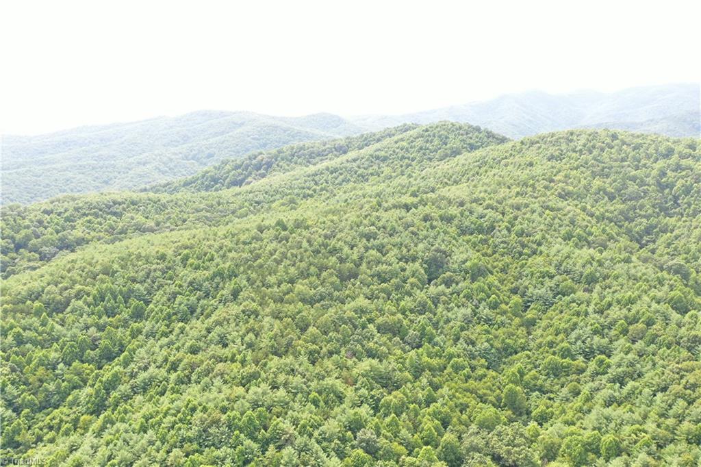 1501 Buckwheat Road McGrady, NC 28649 - Photo 50 of 50