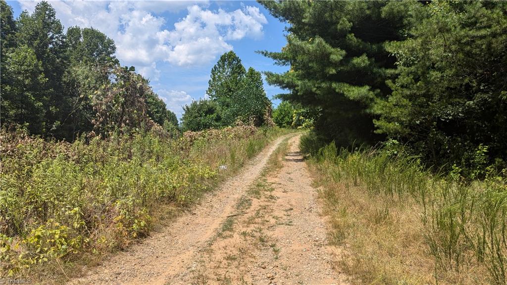 1501 Buckwheat Road McGrady, NC 28649 - Photo 5 of 50