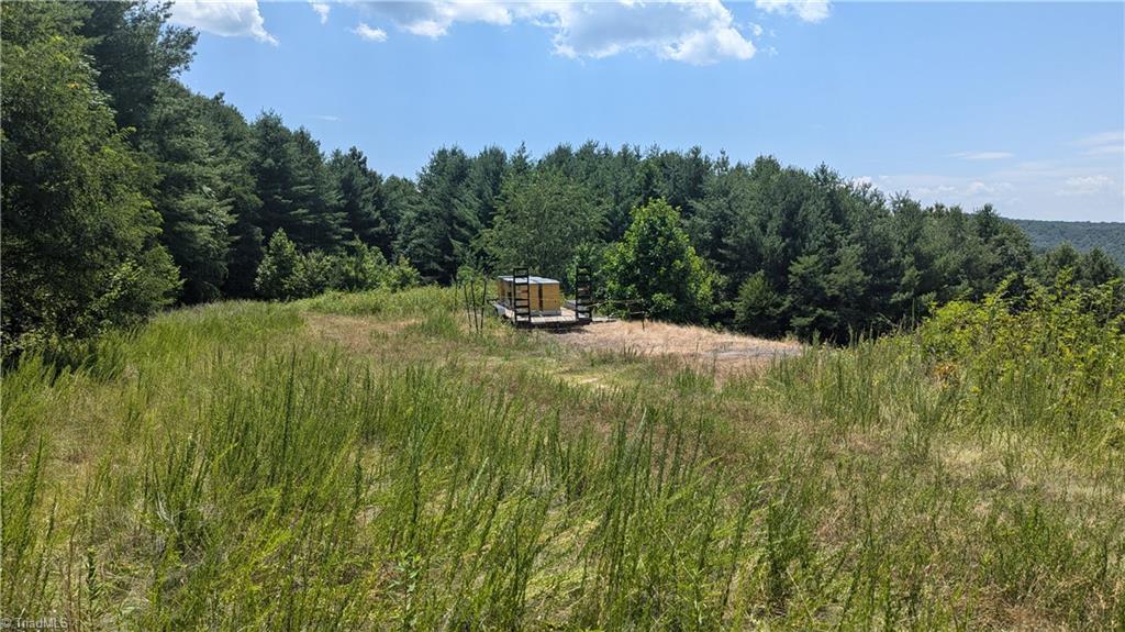 1501 Buckwheat Road McGrady, NC 28649 - Photo 6 of 50