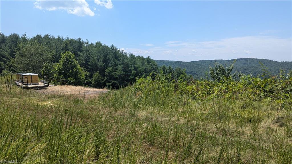 1501 Buckwheat Road McGrady, NC 28649 - Photo 7 of 50