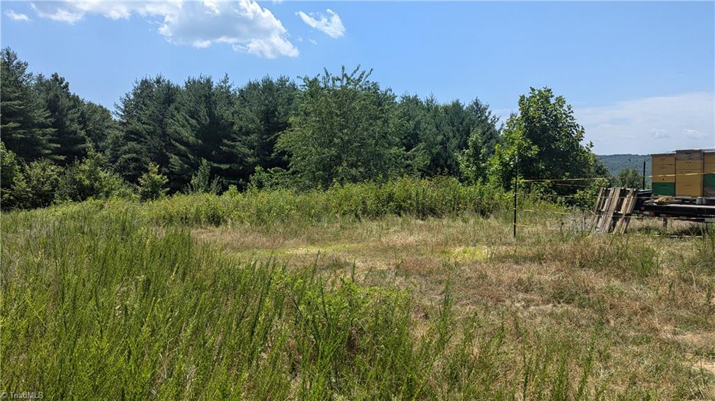 1501 Buckwheat Road McGrady, NC 28649 - Photo 8 of 50