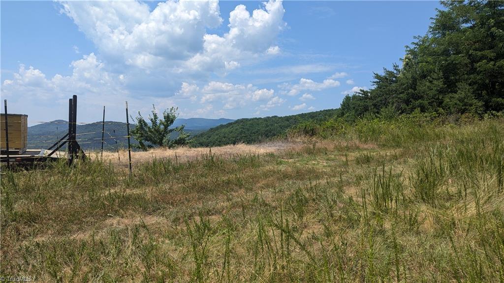 1501 Buckwheat Road McGrady, NC 28649 - Photo 9 of 50