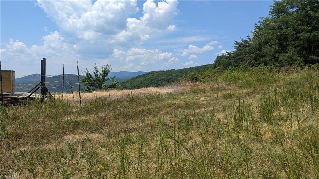 1501 Buckwheat Road McGrady, NC 28649 - Photo 10 of 50