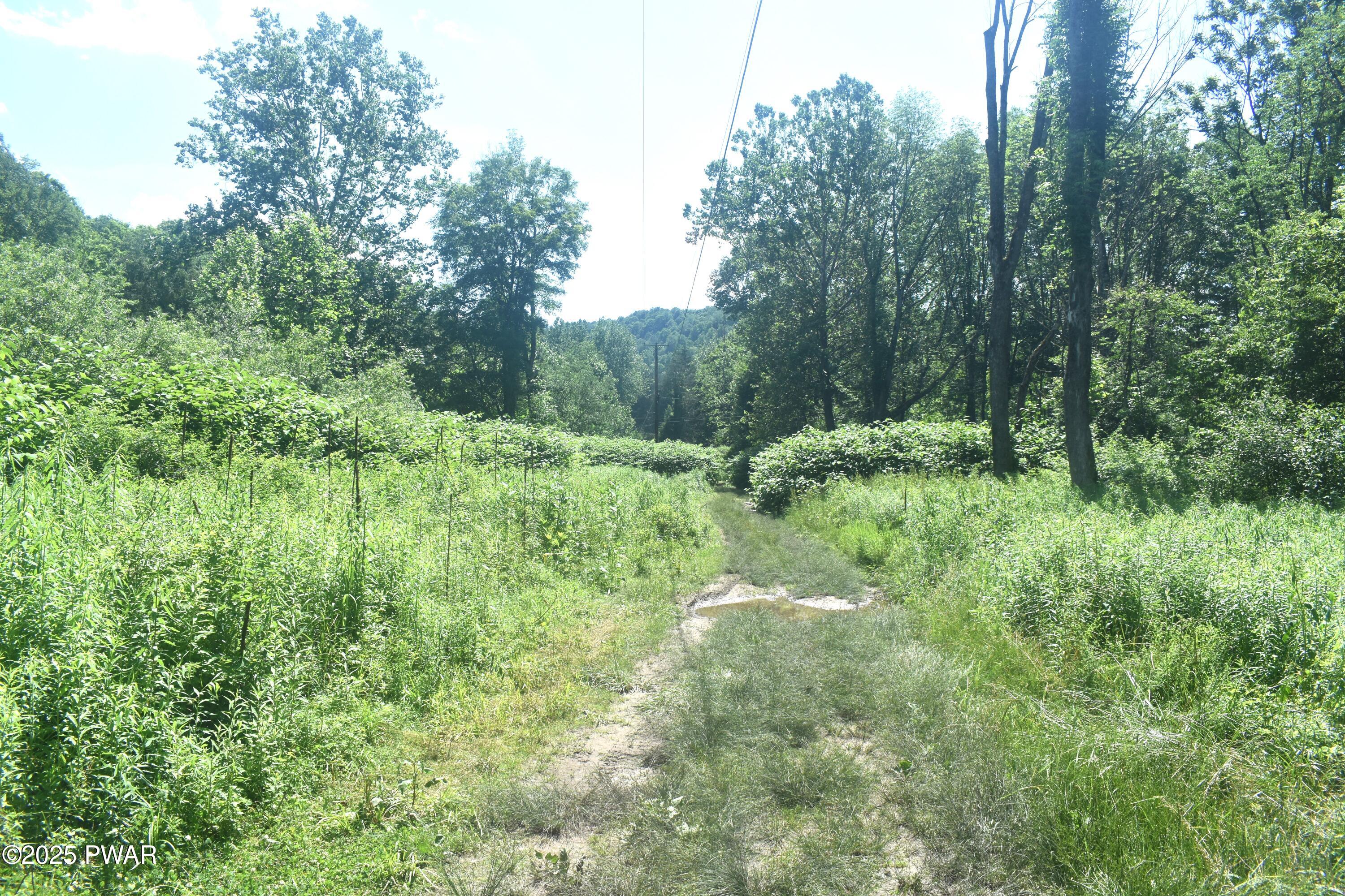 Pine Mill Road Equinunk, PA 18417 - Photo 2 of 5