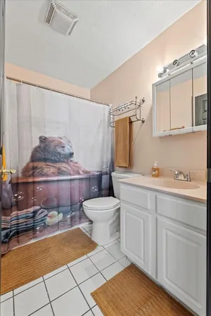 a bathroom with a sink a toilet and vanity