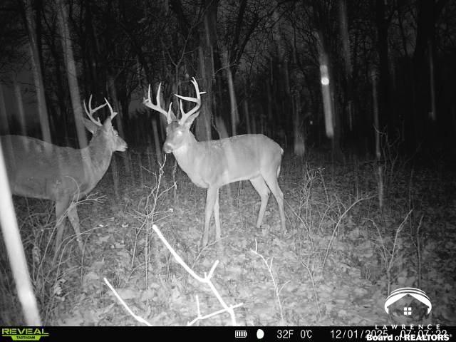240 Acres M/l North 750th Road Overbrook, KS 66524 - Photo 22 of 29