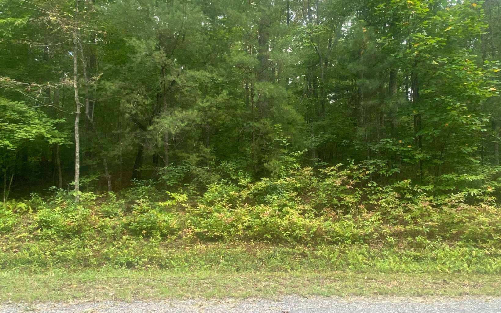 3 A Nally Place Blue Ridge, GA 30513 - Photo 2 of 5 Additional View
