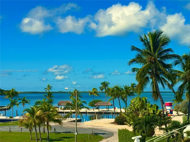 a view of a yard with palm trees
