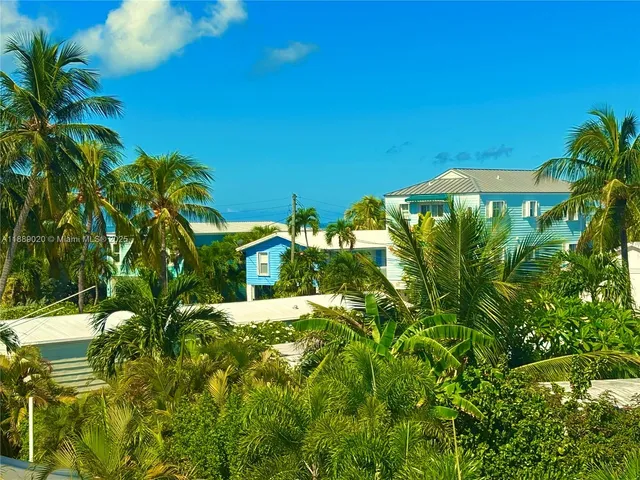 a view of a bunch of flowers