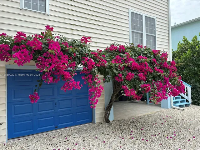 a flower plants in front of a house