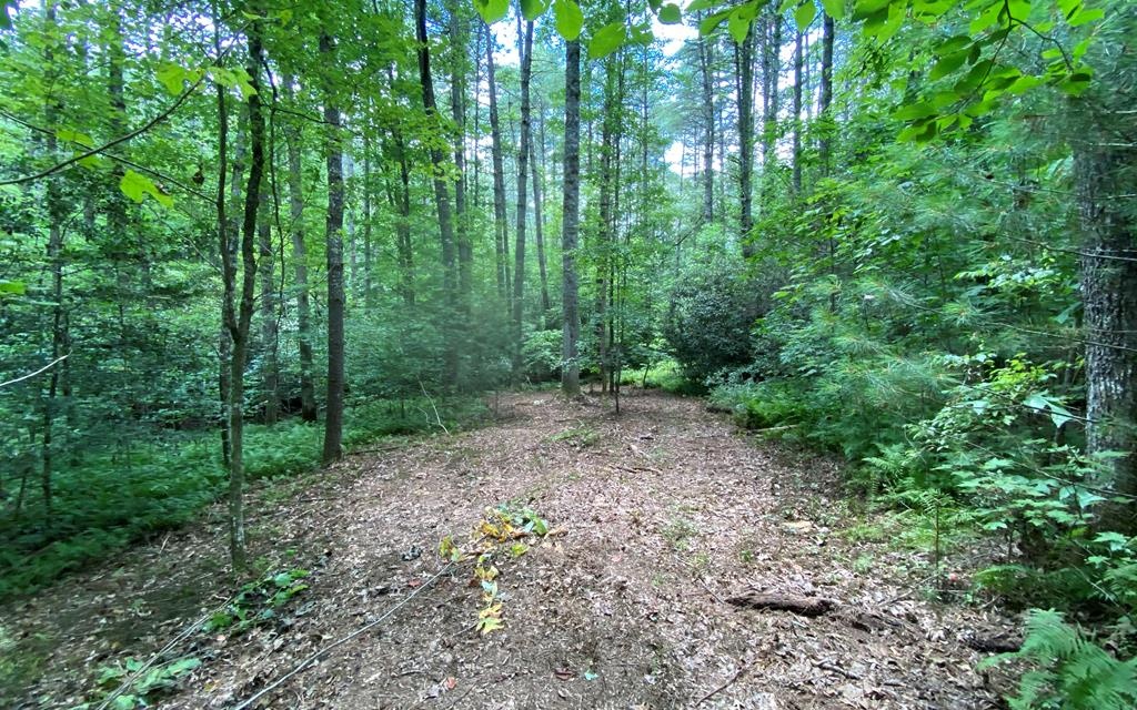 Tbd Rockridge Road Murphy, NC 28906 - Photo 6 of 11 Additional View