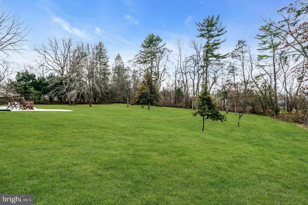 4380 Province Line Road Princeton, NJ 08540 - Photo 41 of 48 Lush green expanse with tranquil tree line.