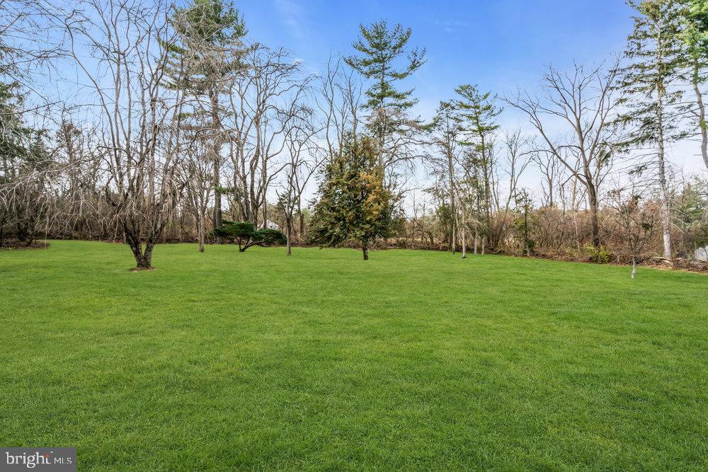 4380 Province Line Road Princeton, NJ 08540 - Photo 45 of 48 Lush green yard.