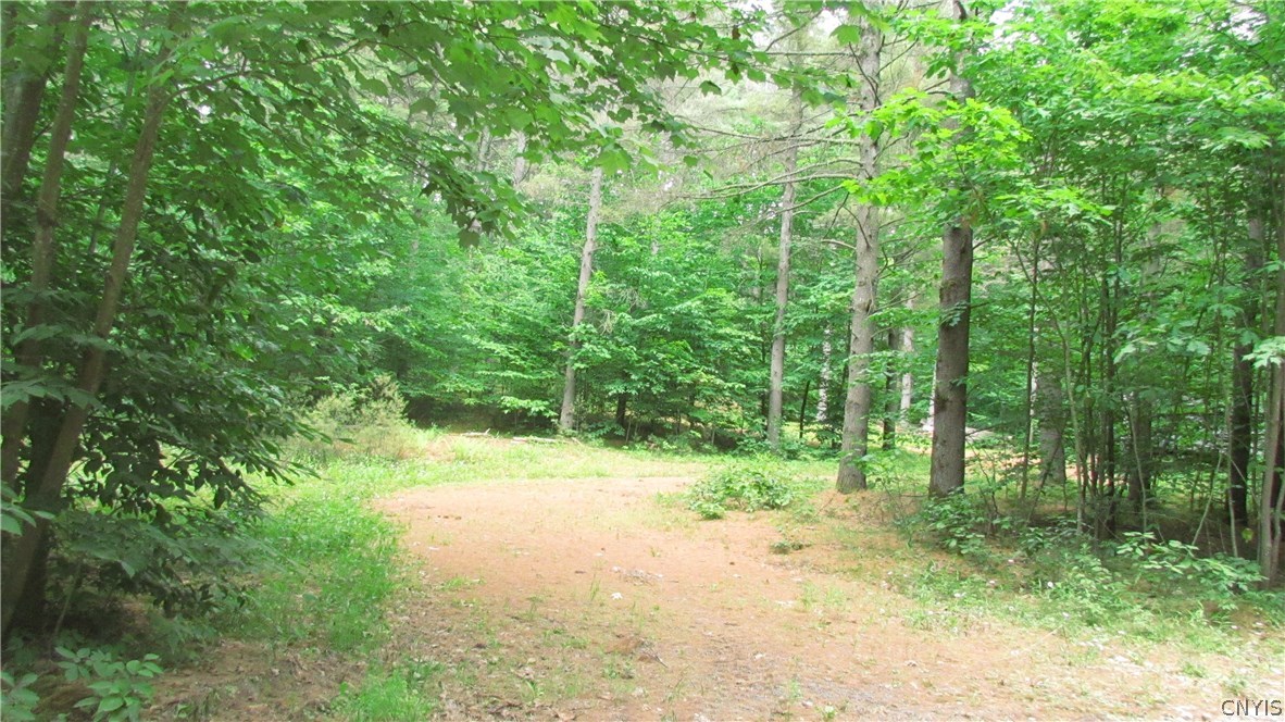 5682 Van Arnam Road Greig, NY 13345 - Photo 1 of 1 Gallery Image 1