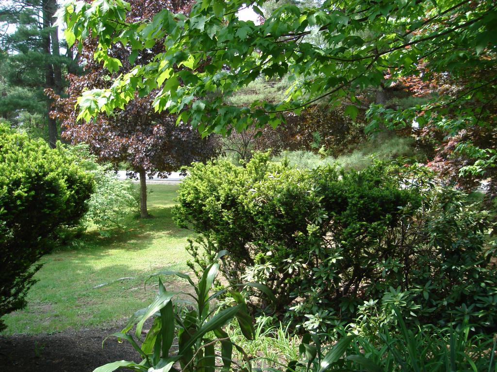 88 Brewster Road Barrington, NH 03825 - Photo 2 of 19