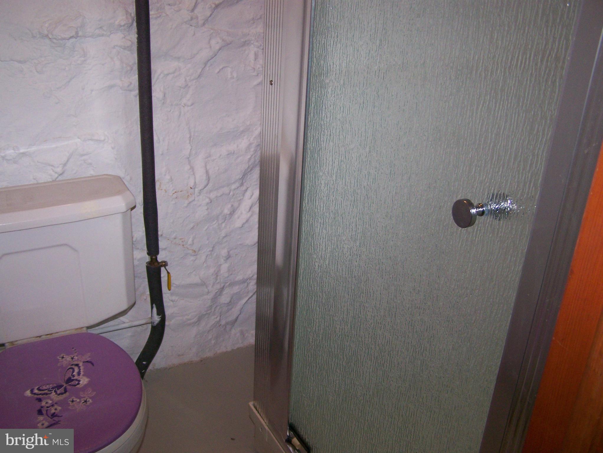 1905 Hillcrest Road Baltimore, MD 21207 - Photo 26 of 26 Shower and toilet in basement