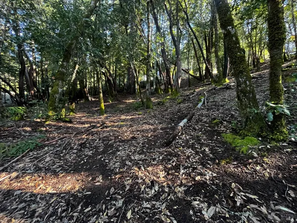 $30,000 | 24278 Tulip Drive, Willits, CA 95490