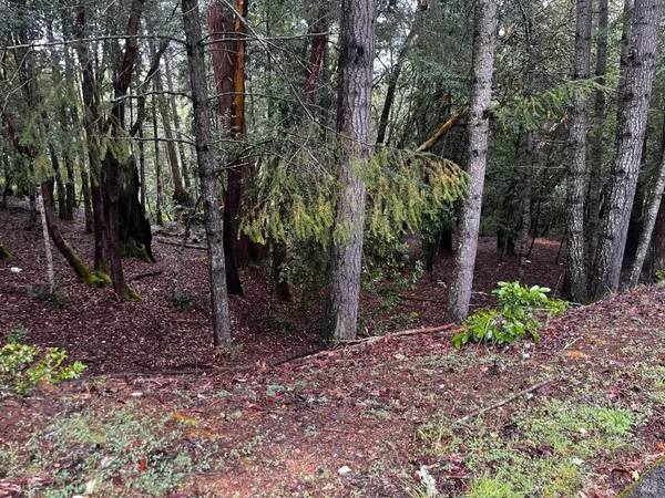 $30,000 | 24278 Tulip Drive, Willits, CA 95490