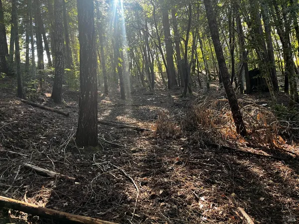 $30,000 | 24278 Tulip Drive, Willits, CA 95490