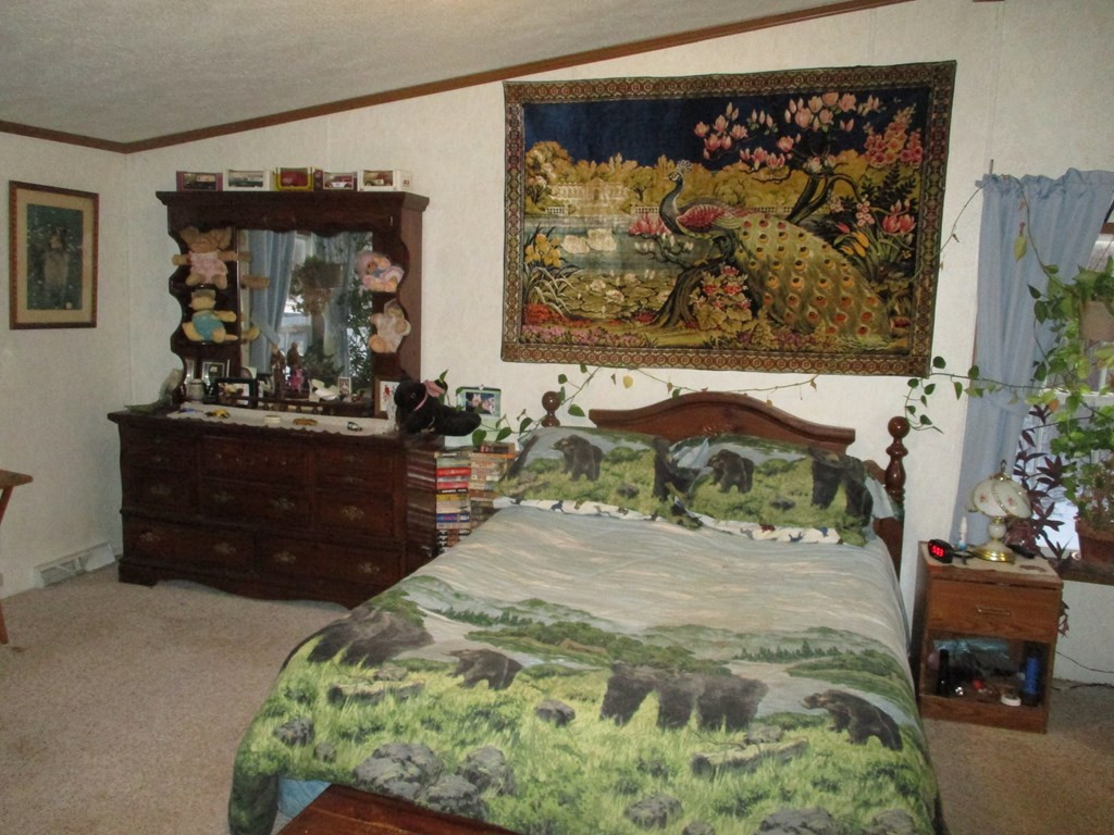 351 Wagner Road North Bangor, NY 12966 - Photo 8 of 16 Gallery Image 8