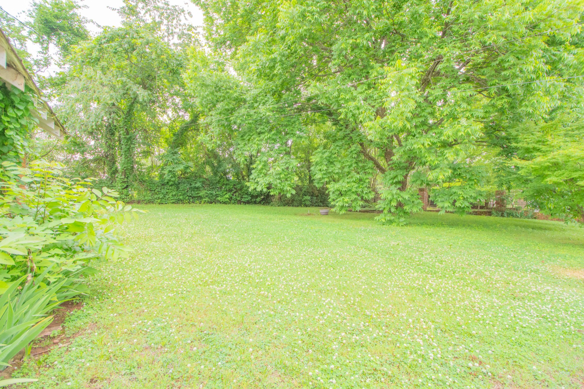 311 South 3rd Street Pulaski, TN 38478 - Photo 41 of 44 a view of yard with swimming pool