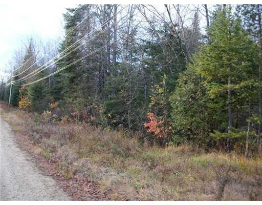 1 Mineral Springs Road Peru, ME 04290 - Photo 8 of 8 Land/Lot.