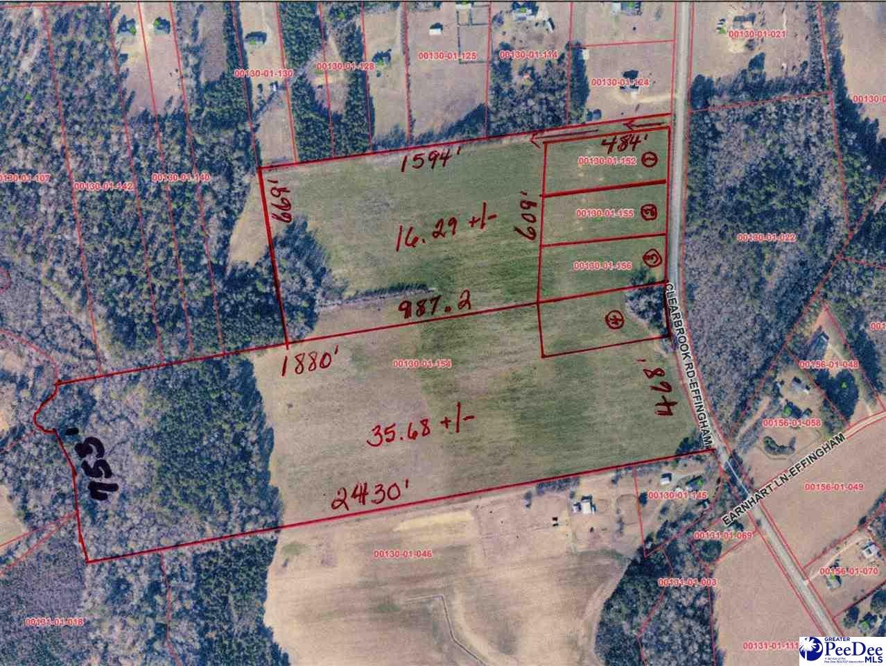Tbd Clearbrook Road Effingham, SC 29541 - Photo 5 of 5 Gallery Image 5