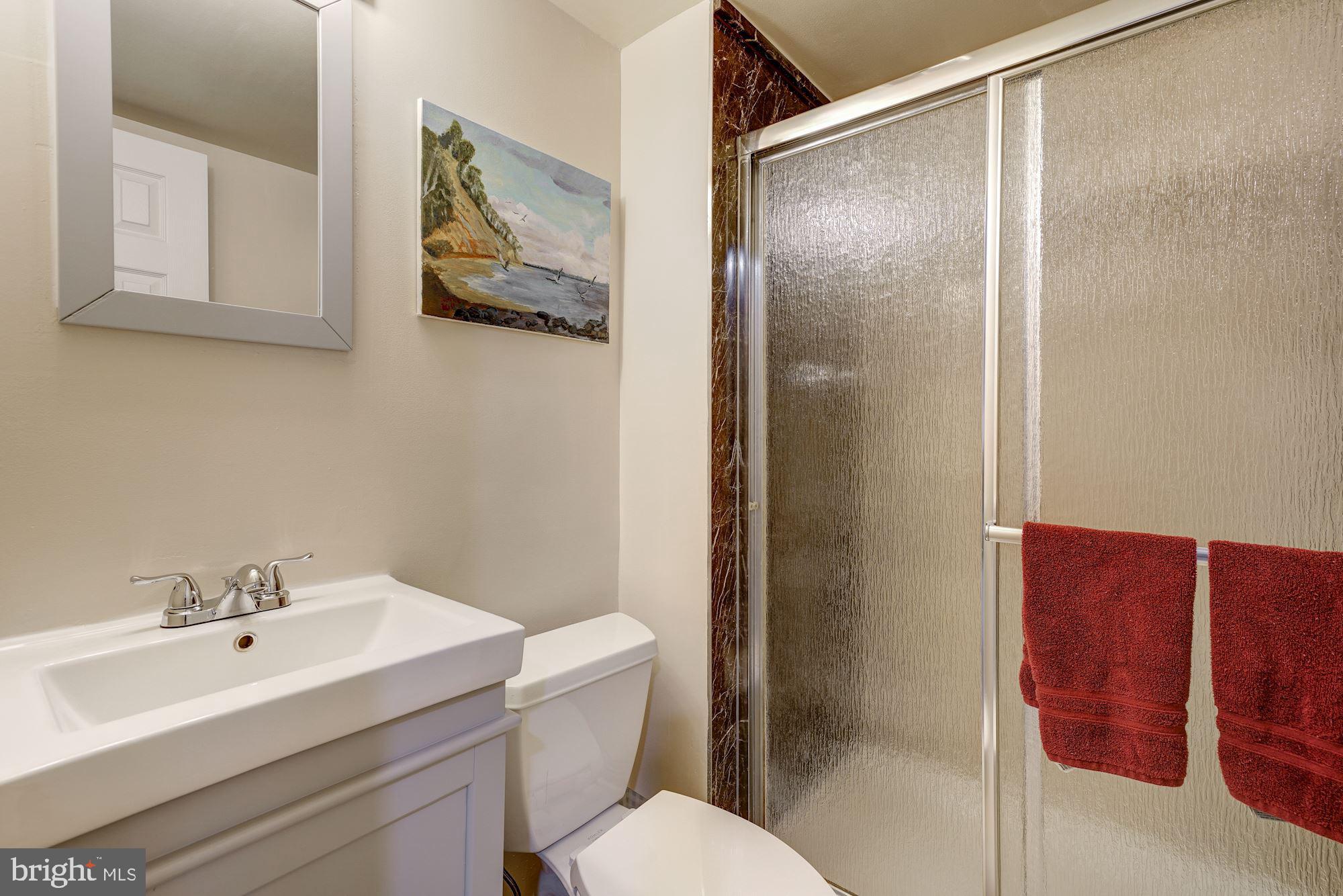 8082 Inverness Ridge Road Potomac, MD 20854 - Photo 28 of 31 Lower Level Bath