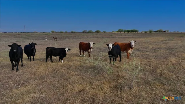 $569,900 | 1891 Dworaczyk Road, Yorktown, TX 78164