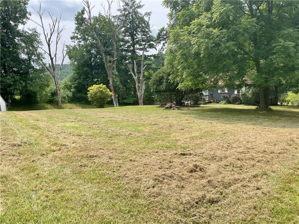 2330 South Bridge Road Washington, PA 15301 - Photo 4 of 13 a view of a yard with a trees