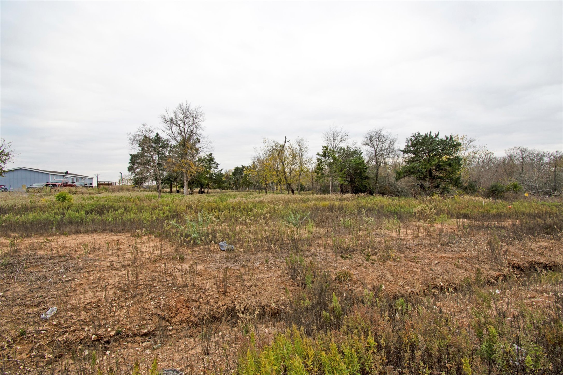 113 Blanco Cyn Street Elgin, TX 78621 - Photo 3 of 5 a view of a field with trees in background