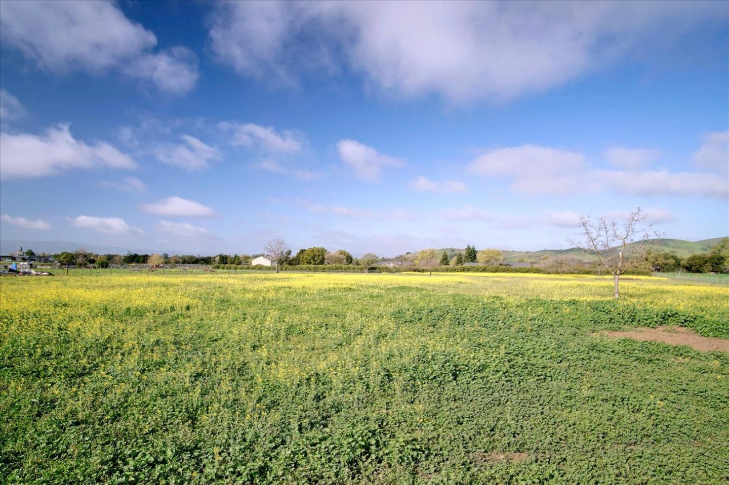 1890 Orchard Road Hollister, CA 95023 - Photo 68 of 69 Gallery Image 68