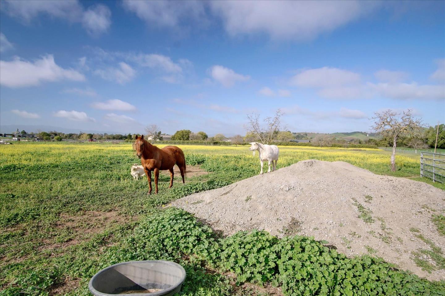 1890 Orchard Road Hollister, CA 95023 - Photo 69 of 69 Gallery Image 69