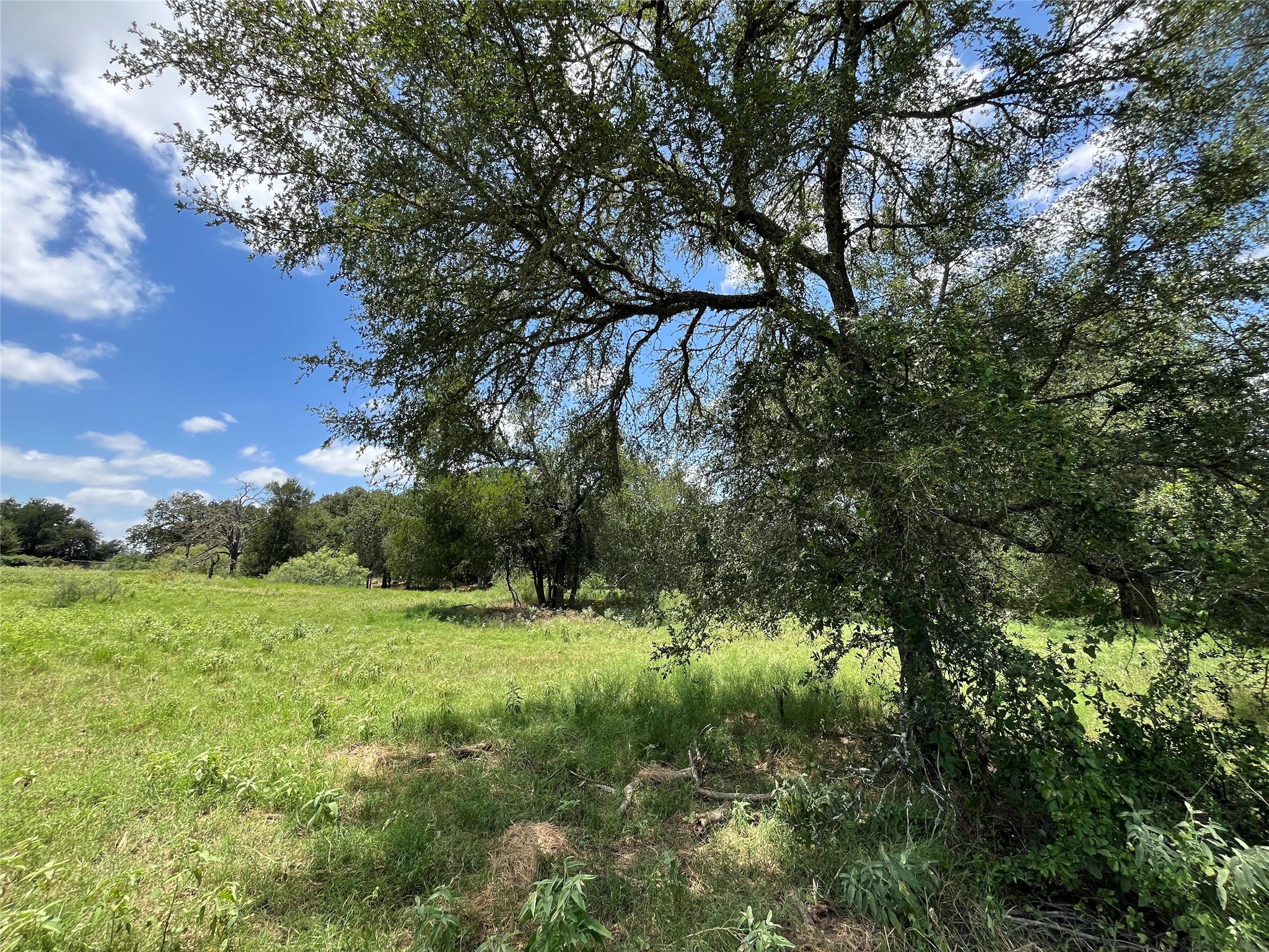 1026 Red Town Road Elgin, TX 78621 - Photo 14 of 20 a view of a lush green space
